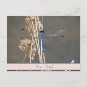 Cartão Postal Nota Botânica Personalizada Vintage Blue Dragonfly