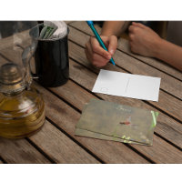 Nota Botânica Personalizada Vintage Red Dragonfly