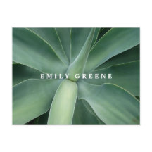 Notecards Bem-Sucultos