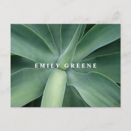 Cartão Postal Notecards Bem-Sucultos