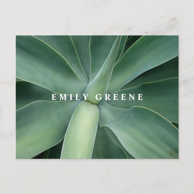 Cartão Postal Notecards Bem-Sucultos (Frente)