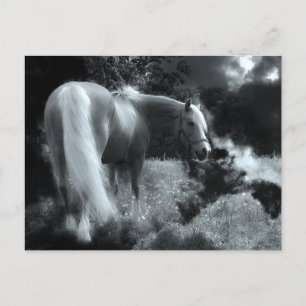 cartão postal noturno místico