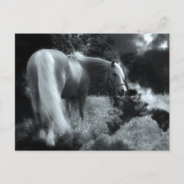 cartão postal noturno místico (Frente)