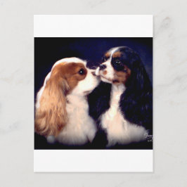 Cartão Postal Nova de Fleet Street Tippy