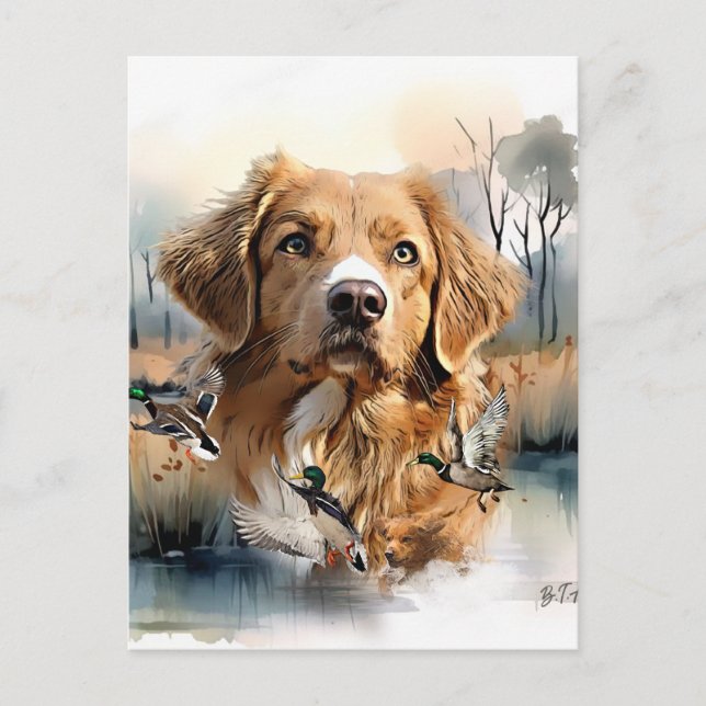 Cartão Postal Nova Escócia Duck Tolling Retriever, Arte (Frente)