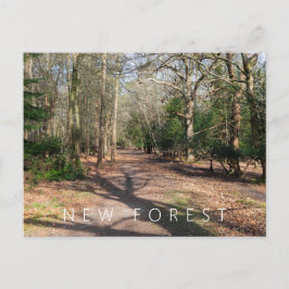 Cartão Postal Nova Floresta