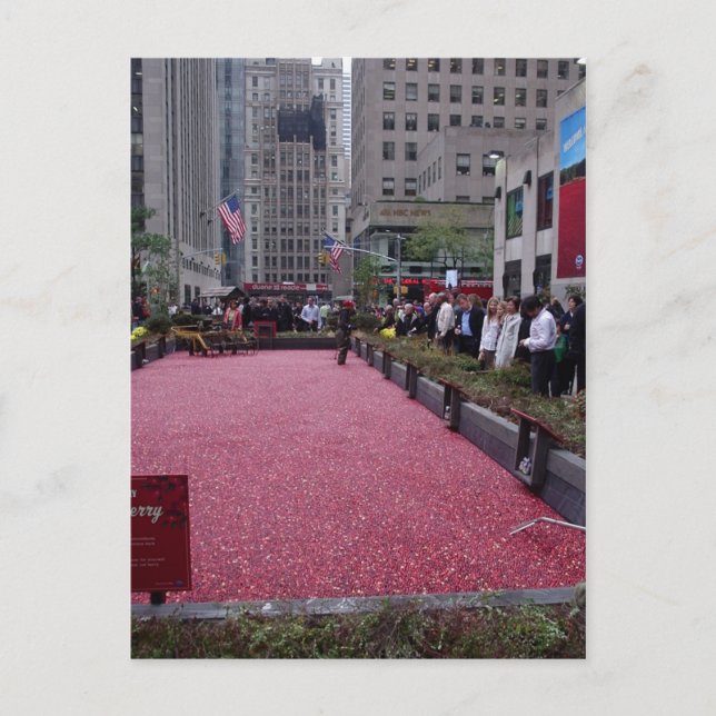 CARTÃO POSTAL NOVA IORQUE (Frente)