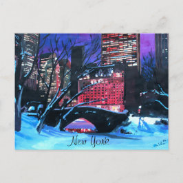 Cartão Postal Nova Iorque - Central Park Winter