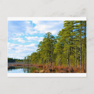 Cartão Postal Nova JErsey Pine Barrens no inverno