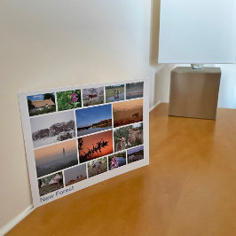 Cartão Postal Nova multiimagem da floresta 2