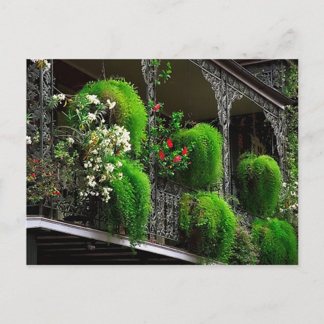 Cartão postal Nova Orleans - Quarto Francês dos EU (Frente)