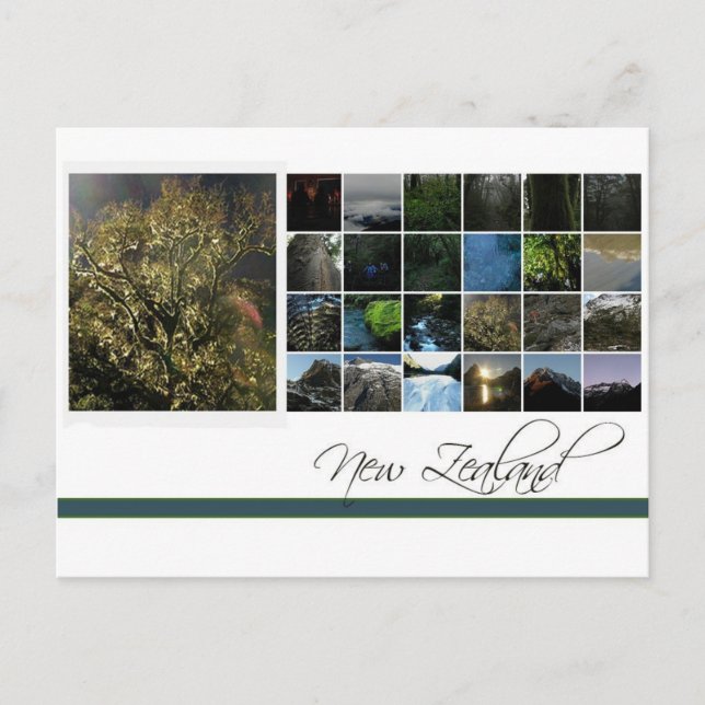 Cartão Postal Nova Zelândia (Frente)