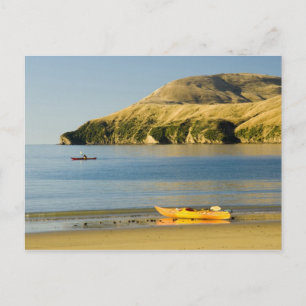 Cartão Postal Nova Zelândia, Ilha do Sul, Sons de Marlborough. 