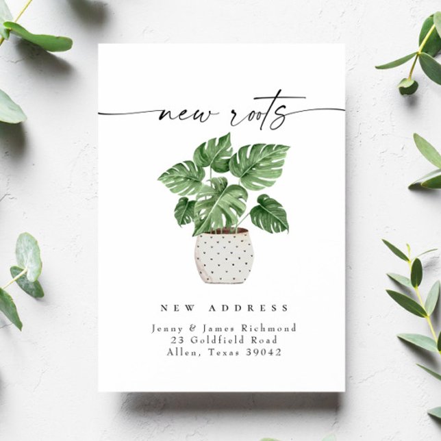 Cartão Postal Novas Raízes Movimentamos Novo Cartão-Postal Domés (Criador carregado)