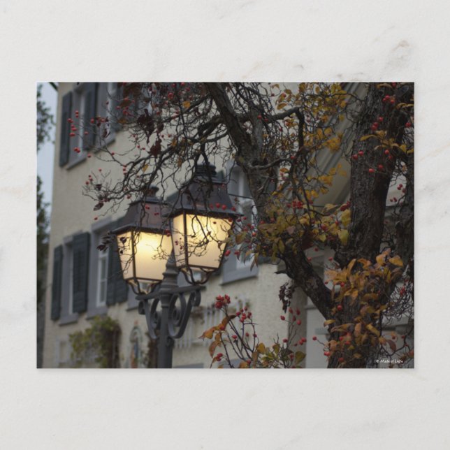 Cartão Postal Novembro (Frente)