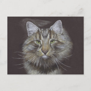 Cartão Postal Novo Cartão-postal de lançamento Pet