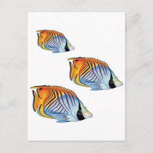 CARTÃO POSTAL NOVO DIA DA ESCOLA