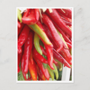 Cartão Postal Novo México Red Chili