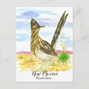 Cartão Postal Novo México - Roadrunner de Ave do Estado Yucca