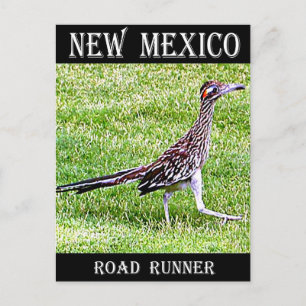 Cartão Postal Novo Roadrunner do México