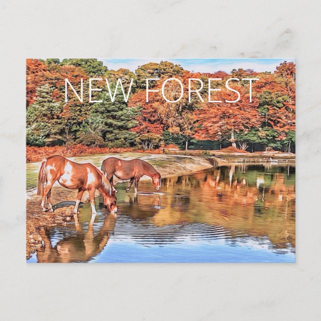 Cartão Postal Novos Pôneis Florestais (Frente)