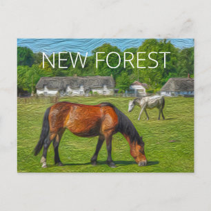 Cartão Postal Novos Pôneis Florestais