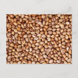 Cartão Postal Nozes de Pistácio