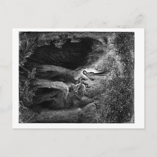 Cartão Postal numa madeira sombria (Frente)