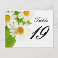 número da mesa de margarida branca