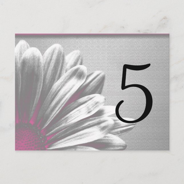 Cartão Postal Número da Tabela de Destaques Florais Rosa (Frente)