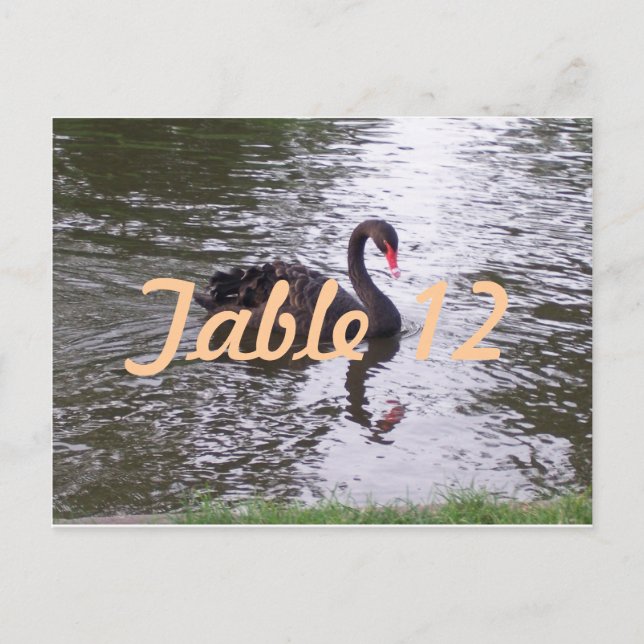 Cartão Postal Número de Mesa Cisne Negro (Frente)