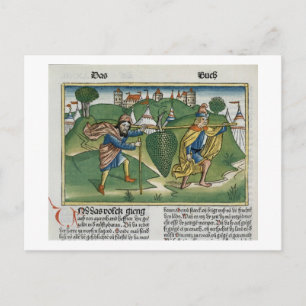 Cartão Postal Números 13 23 Uvas de Eschol, do "Nure