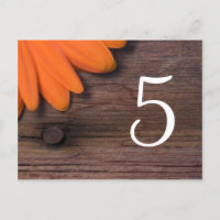 Números de Tabela de Casamento Rustic Orange Daisy