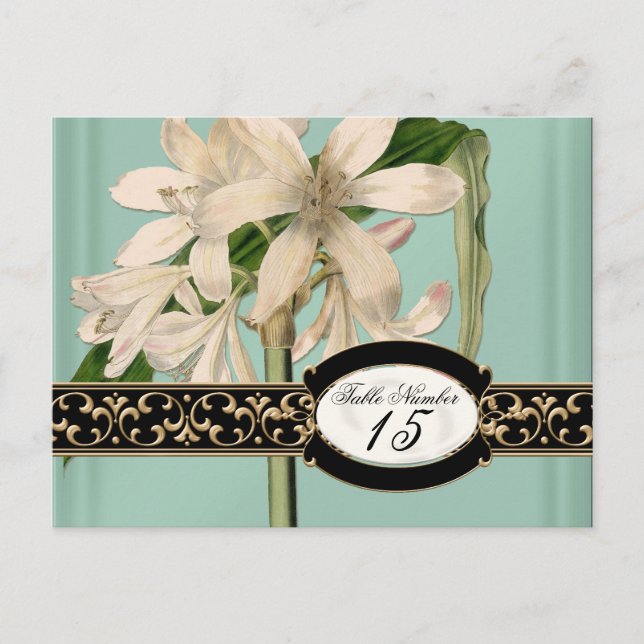 Cartão Postal Números de Tabela Formal de Casamentos do Barroco  (Frente)