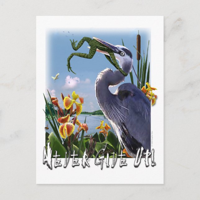 Cartão Postal Nunca Desista! (Frente)