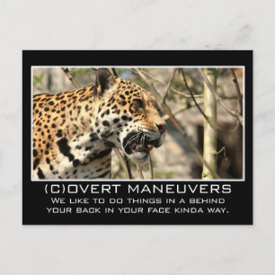 Cartão Postal Nunca esconderíamos nada de você