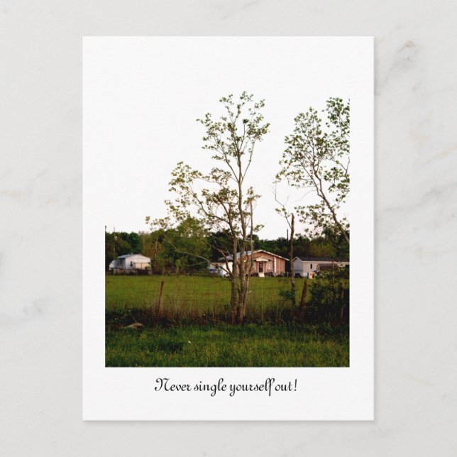 Cartão Postal Nunca se solteiro! (Frente)