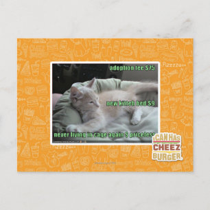 Cartão Postal Nunca vivendo em uma gaiola outra vez