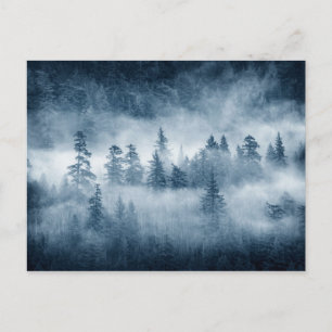 Cartão Postal Nuvens da Floresta Chuva no Noroeste do Pacífico