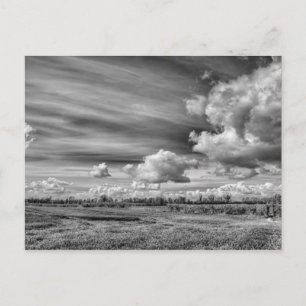 Cartão Postal Nuvens de Captura (B&W)