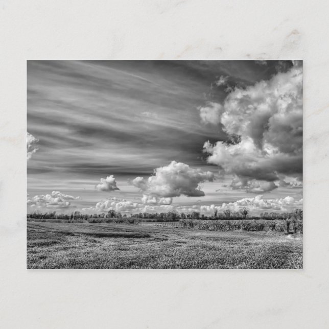 Cartão Postal Nuvens de Captura (B&W) (Frente)