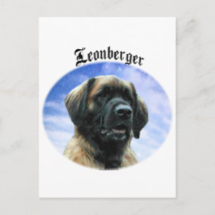 Cartão Postal Nuvens de Leonberger