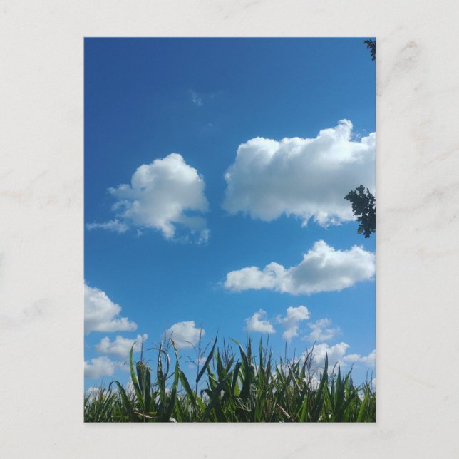Cartão Postal Nuvens E Céu Azul (Frente)