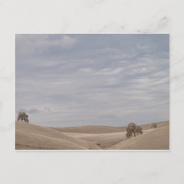 Cartão Postal Nuvens sobre a Selvagem (Frente)