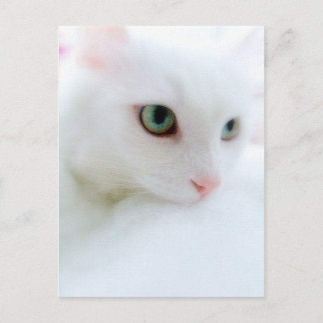 Cartão Postal Nuvens Suaves (Frente)