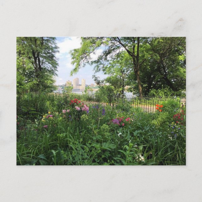 Cartão postal NYC Riverside Park Hudson River New  (Frente)