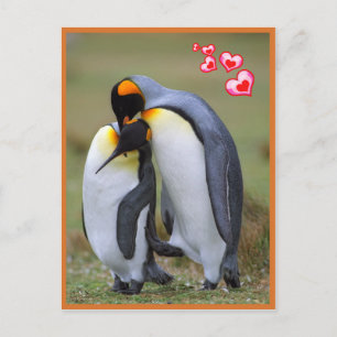 Cartão Postal O amor dos pinguins