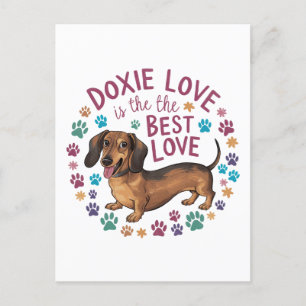 Cartão Postal O Amor Doxie É O Melhor Amor