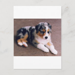 Cartão Postal O amor é,