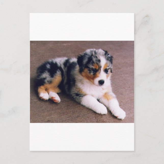 Cartão Postal O amor é, (Frente)